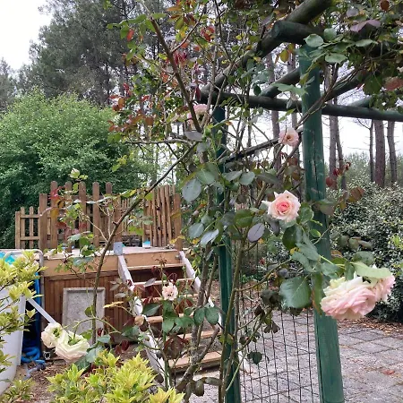 Maison Ligne Droite Des Hunaudières-circuit 24h Du Mans *