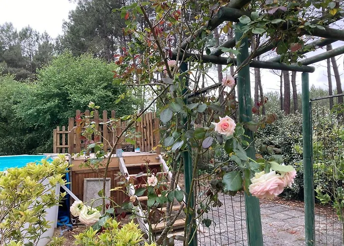 Maison Ligne Droite Des Hunaudières-circuit 24h Du Mans *